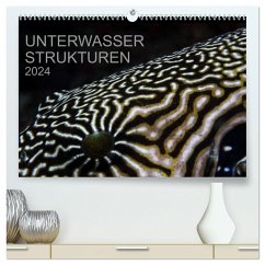 Unterwasser Strukuren (hochwertiger Premium Wandkalender 2024 DIN A2 quer), Kunstdruck in Hochglanz