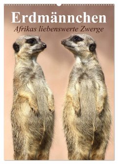 Erdmännchen - Afrikas liebenswerte Zwerge (Wandkalender 2024 DIN A2 hoch), CALVENDO Monatskalender