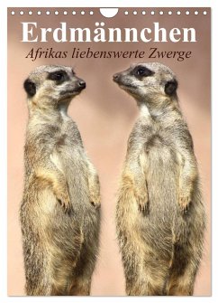 Erdmännchen - Afrikas liebenswerte Zwerge (Wandkalender 2024 DIN A4 hoch), CALVENDO Monatskalender