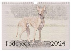 Podencos 2024 (Wandkalender 2024 DIN A4 quer), CALVENDO Monatskalender