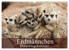 Erdmännchen (Wandkalender 2024 DIN A3 quer), CALVENDO Monatskalender