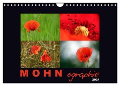 MOHNographie (Wandkalender 2024 DIN A4 quer), CALVENDO Monatskalender