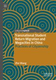 Transnational Student Return Migration and Megacities in China (eBook, PDF)