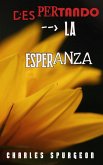 Despertando La Esperanza (eBook, ePUB)