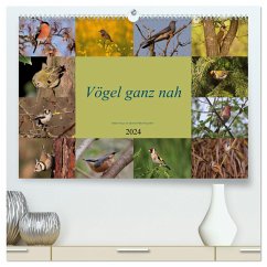 Vögel ganz nah (hochwertiger Premium Wandkalender 2024 DIN A2 quer), Kunstdruck in Hochglanz