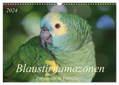 Blaustirnamazonen - Papageien in Paraguay (Wandkalender 2024 DIN A3 quer), CALVENDO Monatskalender - Schneider, Bettina
