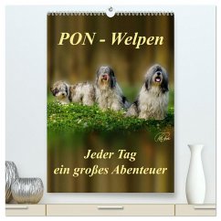 PON-Welpen - jeder Tag ein großes Abenteuer / Planer (hochwertiger Premium Wandkalender 2024 DIN A2 hoch), Kunstdruck in Hochglanz