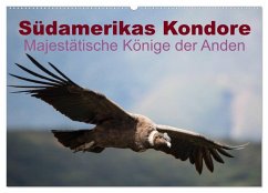 Südamerikas Kondore - Majestätische Könige der Anden (Wandkalender 2024 DIN A2 quer), CALVENDO Monatskalender