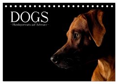 Dogs (Tischkalender 2024 DIN A5 quer), CALVENDO Monatskalender - Noack, Nicole