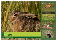 Tiere in der Feldmark (Tischkalender 2024 DIN A5 quer), CALVENDO Monatskalender - Erlwein, Winfried