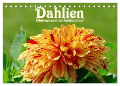 Dahlien - Blütenpracht im Spätsommer (Tischkalender 2024 DIN A5 quer), CALVENDO Monatskalender