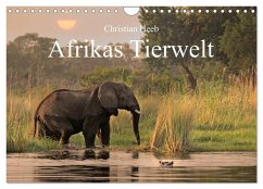 Afrikas Tierwelt Christian Heeb (Wandkalender 2024 DIN A4 quer), CALVENDO Monatskalender