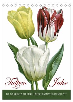 Tulpen - Jahr (Tischkalender 2024 DIN A5 hoch), CALVENDO Monatskalender - Reek, Babette