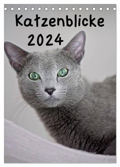 Katzenblicke 2024 (Tischkalender 2024 DIN A5 hoch), CALVENDO Monatskalender