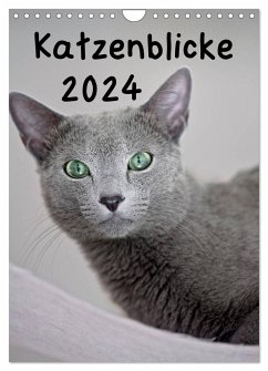 Katzenblicke 2024 (Wandkalender 2024 DIN A4 hoch), CALVENDO Monatskalender