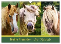 Meine Freunde - die Pferde (Wandkalender 2024 DIN A3 quer), CALVENDO Monatskalender - Dölling, AD DESIGN Photo + PhotoArt, Angela