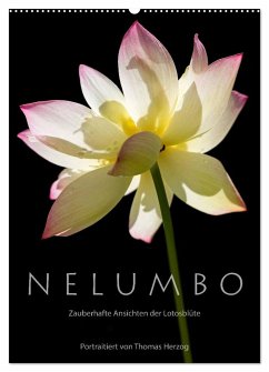 N E L U M B O ¿ Zauberhafte Ansichten der Lotosblüte (Wandkalender 2024 DIN A2 hoch), CALVENDO Monatskalender