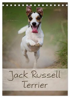 Jack Russell Terrier (Tischkalender 2024 DIN A5 hoch), CALVENDO Monatskalender - Noack, Nicole