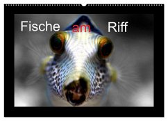 Fische am Riff (Wandkalender 2024 DIN A2 quer), CALVENDO Monatskalender