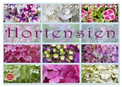 Hortensien / Geburtstagskalender (Tischkalender 2024 DIN A5 quer), CALVENDO Monatskalender