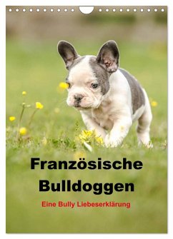 Französische Bulldoggen - Eine Bully Liebeserkärung (Wandkalender 2024 DIN A4 hoch), CALVENDO Monatskalender