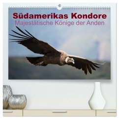 Südamerikas Kondore - Majestätische Könige der Anden (hochwertiger Premium Wandkalender 2024 DIN A2 quer), Kunstdruck in Hochglanz - Bob, Alexander