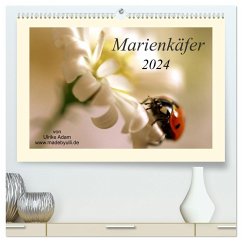Marienkäfer / 2024 (hochwertiger Premium Wandkalender 2024 DIN A2 quer), Kunstdruck in Hochglanz