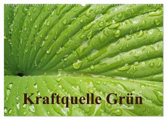 Kraftquelle Grün (Wandkalender 2024 DIN A2 quer), CALVENDO Monatskalender