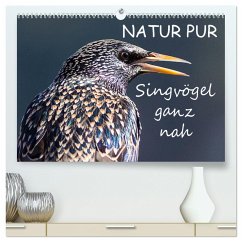 NATUR PUR - Singvögel ganz nah (hochwertiger Premium Wandkalender 2024 DIN A2 quer), Kunstdruck in Hochglanz