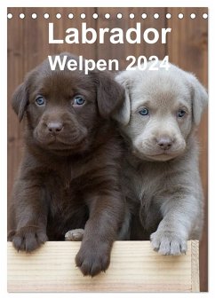 Labrador Welpen (Tischkalender 2024 DIN A5 hoch), CALVENDO Monatskalender