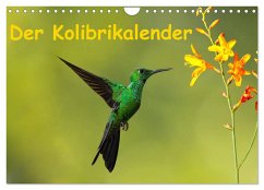 Der Kolibrikalender (Wandkalender 2024 DIN A4 quer), CALVENDO Monatskalender - Akrema-Photography