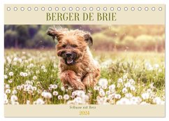 Berger de Brie - Fellnase mit Herz (Tischkalender 2024 DIN A5 quer), CALVENDO Monatskalender