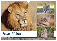 Katzen Afrikas (Wandkalender 2024 DIN A3 quer), CALVENDO Monatskalender