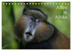 Affen in Afrika (Tischkalender 2024 DIN A5 quer), CALVENDO Monatskalender