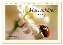 Marienkäfer / 2024 (Tischkalender 2024 DIN A5 quer), CALVENDO Monatskalender