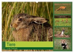 Tiere in der Feldmark (Wandkalender 2024 DIN A2 quer), CALVENDO Monatskalender