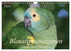 Blaustirnamazonen - Papageien in Paraguay (Wandkalender 2024 DIN A4 quer), CALVENDO Monatskalender