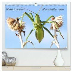 Naturjuwelen - Neusiedler See (hochwertiger Premium Wandkalender 2024 DIN A2 quer), Kunstdruck in Hochglanz