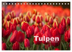 Tulpen (Tischkalender 2024 DIN A5 quer), CALVENDO Monatskalender