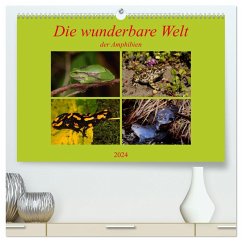 Die wunderbare Welt der Amphibien (hochwertiger Premium Wandkalender 2024 DIN A2 quer), Kunstdruck in Hochglanz - Erlwein, Winfried