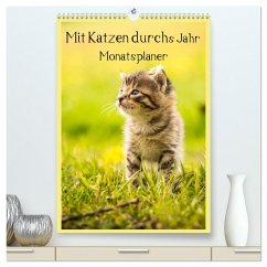 Mit Katzen durchs Jahr / Planer (hochwertiger Premium Wandkalender 2024 DIN A2 hoch), Kunstdruck in Hochglanz - Obermüller Fotografie, Yvonne