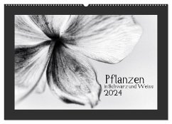 Pflanzen in Schwarz und Weiss / CH-Version (Wandkalender 2024 DIN A2 quer), CALVENDO Monatskalender