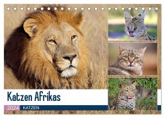 Katzen Afrikas (Tischkalender 2024 DIN A5 quer), CALVENDO Monatskalender