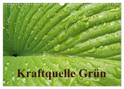 Kraftquelle Grün (Wandkalender 2024 DIN A3 quer), CALVENDO Monatskalender