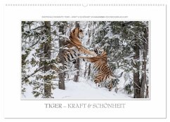 Emotionale Momente: Tiger - Kraft & Schönheit. / CH-Version (Wandkalender 2024 DIN A2 quer), CALVENDO Monatskalender