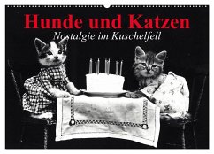 Hunde und Katzen - Nostalgie im Kuschelfell (Wandkalender 2024 DIN A2 quer), CALVENDO Monatskalender