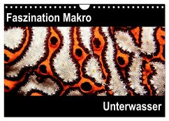 Faszination Makro Unterwasser (Wandkalender 2024 DIN A4 quer), CALVENDO Monatskalender