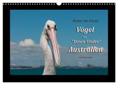 Vögel von "Down Under" Australien (Wandkalender 2024 DIN A3 quer), CALVENDO Monatskalender
