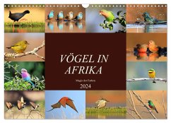 Vögel in Afrika - Magie der Farben (Wandkalender 2024 DIN A3 quer), CALVENDO Monatskalender