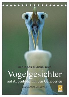 Magie des Augenblicks - Vogelgesichter - auf Augenhöhe mit den Gefiederten (Tischkalender 2024 DIN A5 hoch), CALVENDO Monatskalender